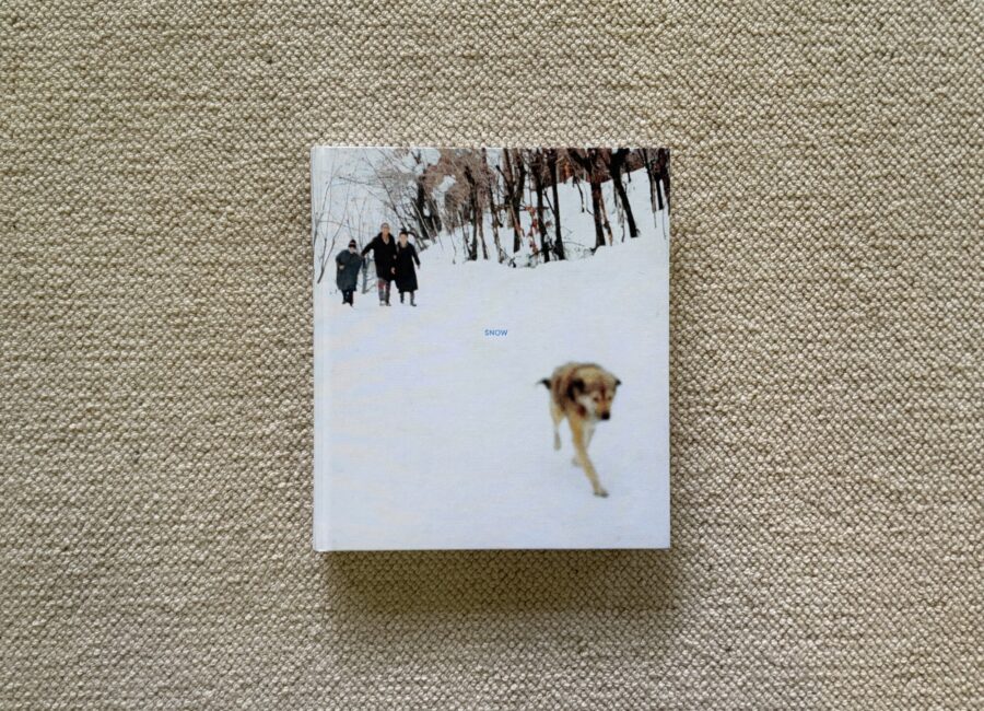 Sohrab Hura, Snow