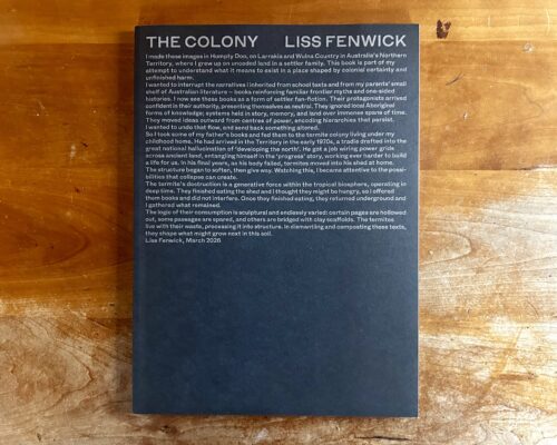 Liss Fenwick, The Colony