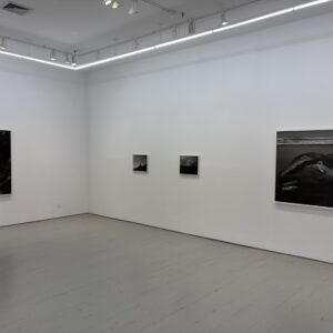 Mark Armijo McKnight, Cut the World @Klaus von Nichtssagend