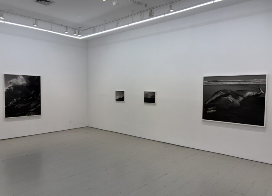 Mark Armijo McKnight, Cut the World @Klaus von Nichtssagend