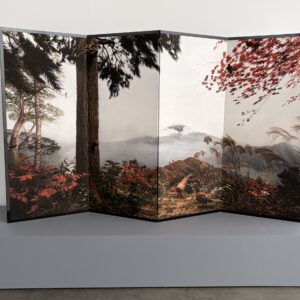 Hiroshi Sugimoto: Unnatural Habitat @Lisson