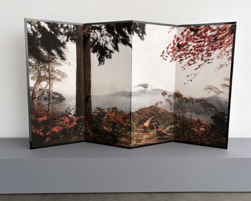 Hiroshi Sugimoto: Unnatural Habitat @Lisson