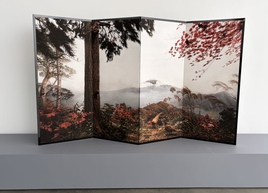 Hiroshi Sugimoto: Unnatural Habitat @Lisson