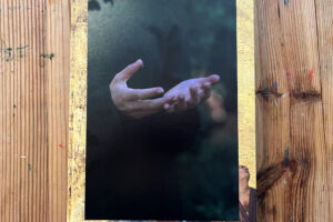 Barbara Bosworth, Birds and Other Angels