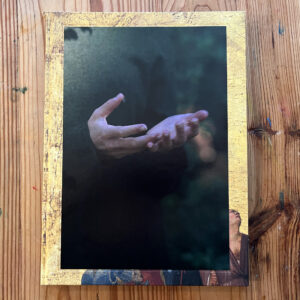 Barbara Bosworth, Birds and Other Angels