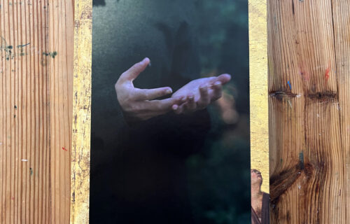 Barbara Bosworth, Birds and Other Angels