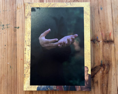 Barbara Bosworth, Birds and Other Angels
