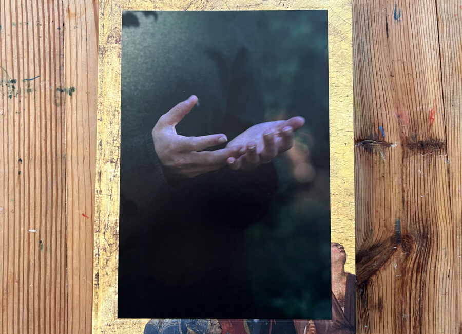 Barbara Bosworth, Birds and Other Angels