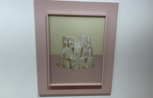 Taryn Simon @Almine Rech