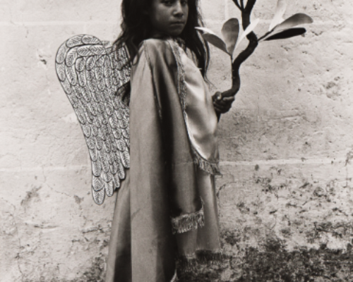 Auction Results: Fine Photographs, October 15, 2026 @Swann
